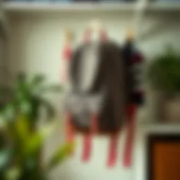 Innovative Solutions for Organizing Your Backpack using Closet Hangers Introduction