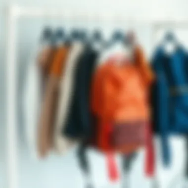 Notable Innovative Solutions for Organizing Your Backpack using Closet Hangers Notable Innovative Solutions for Organizing Your Backpack using Closet Hangers