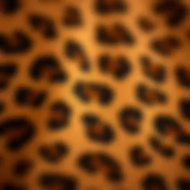 Detailed Texture of Leopard Print Fabric Close-up of leopard print fabric highlighting texture and quality