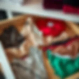 Neatly organized drawer showcasing various undergarments arranged by type and color.