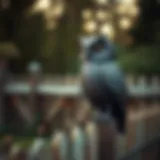 Rustic metal owl perched on a fence