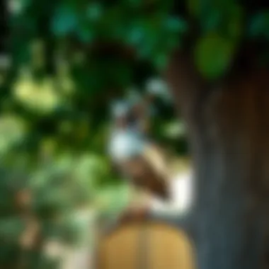 Whimsical Metal Owl Under Tree Whimsical metal owl decoration under a tree