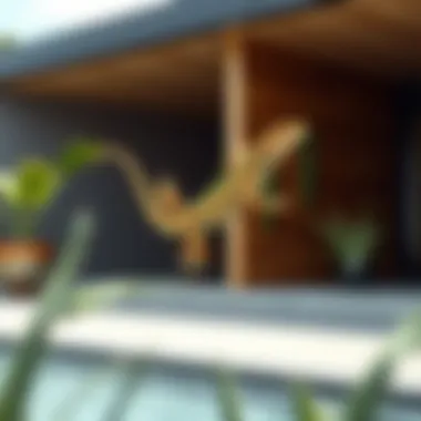 Modern Lizard Art in Contemporary Outdoors Artistic representation of a lizard in a modern outdoor space