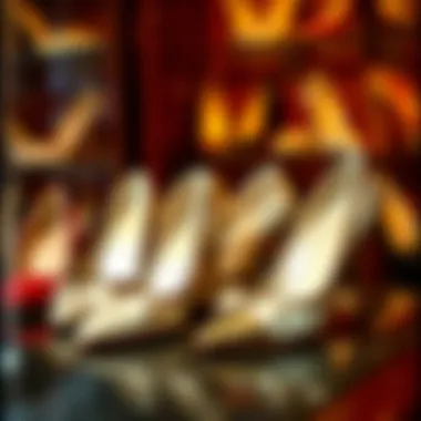 Vintage High Heel Collection Elegant high heels in a vintage display