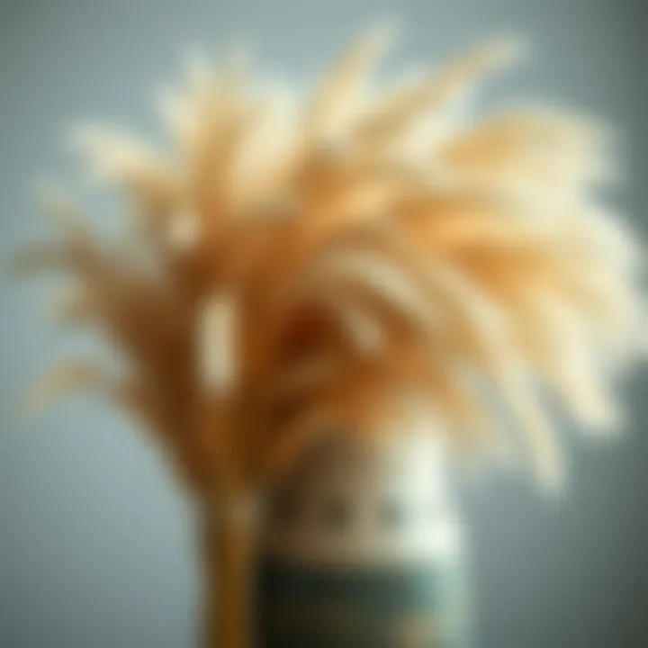 Textural Harmony with Pampas Grass and Ceramic Vase Close-up of pampas grass contrasting with ceramic vase texture