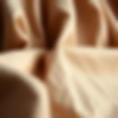 Quality Fabrics in Plus Size Fashion Close-up of fabric texture for plus size clothing