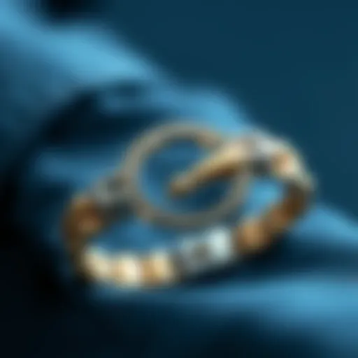 Showcasing Innovative Clasp Designs Elegant quick clasp mechanism showcased