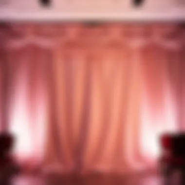 Elegant Satin Backdrop for Events Elegant satin backdrop for a stylish event