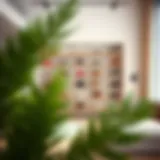 Stylish Minimalist Design for Shoe Shelving Stylish minimalist shoe shelving unit in a modern interior