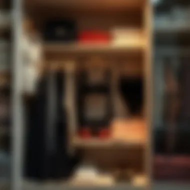 Elegant Storage Solutions for Intimate Wear Stylish storage solutions for intimate apparel on display