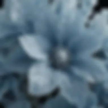 Close-up of ice blue flowers showcasing intricate details and textures