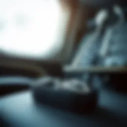 Compact travel cord organizer with various compartments