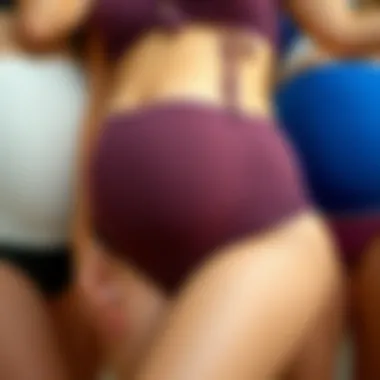 Diverse Styles of Maternity Swim Bottoms Diverse styles of high rise maternity swim bottoms displayed