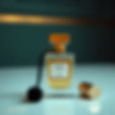 The Essential Guide to Travel Perfume Holders Summary The Essential Guide to Travel Perfume Holders Summary
