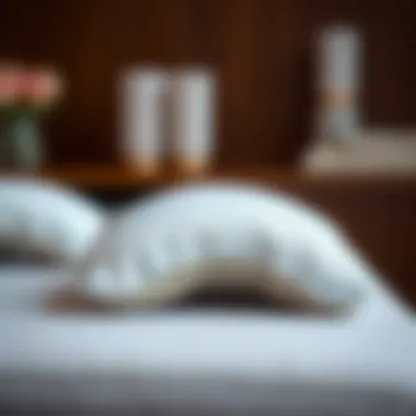 Ergonomic Design of Manicure Pillows Close-up of a manicure pillow emphasizing ergonomic design