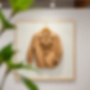 Sustainability in Apparel Presentation Sustainable materials used in double-sided frames