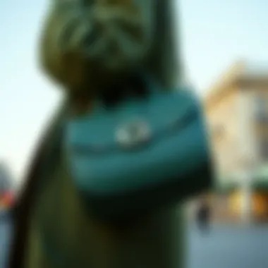 The Evolution and Significance of the Green Bag for Women Summary