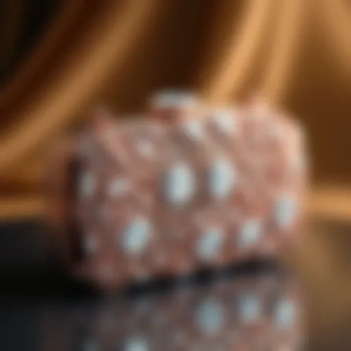 A Luxurious Diamond Clutch Luxurious diamond clutch with intricate detailing