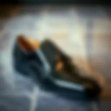 Elegance of Shiny Black Dress Shoes Elegant shiny black dress shoes with a glossy finish.