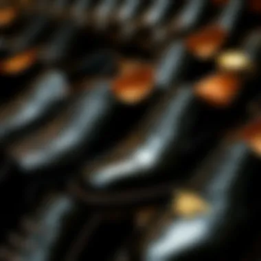 Variations of Shiny Black Shoes A collection of different styles of shiny black shoes arranged neatly.