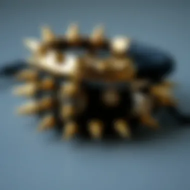 The Multifaceted Appeal of Spiked Bracelets Summary The Multifaceted Appeal of Spiked Bracelets Summary