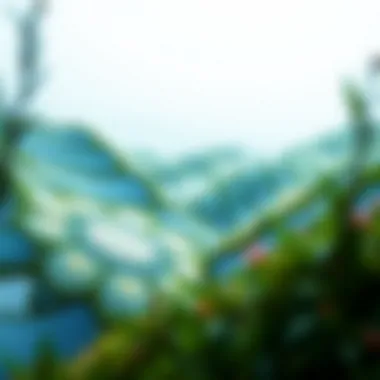Intricate Mandala Patterns for Relaxation A serene landscape filled with intricate mandala patterns for coloring