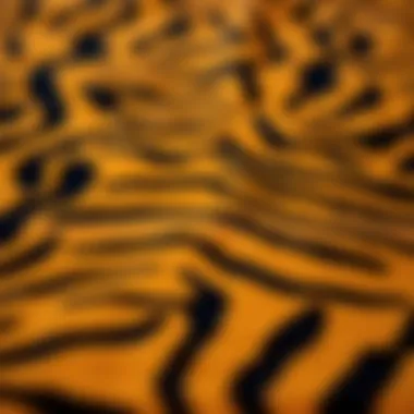 Texture That Captivates Close-up of fabric texture of tiger print tablecloth