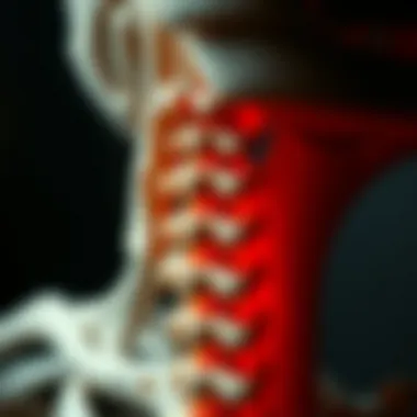 Cervical Spine Anatomy A close-up view of the cervical spine anatomy