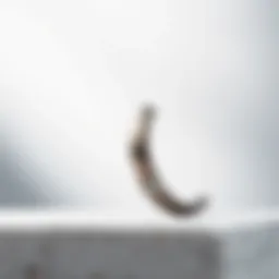 Elegant titanium septum ring displayed against a minimalistic background