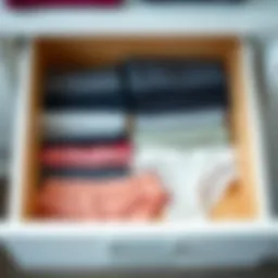 An organized drawer featuring various underwear separators