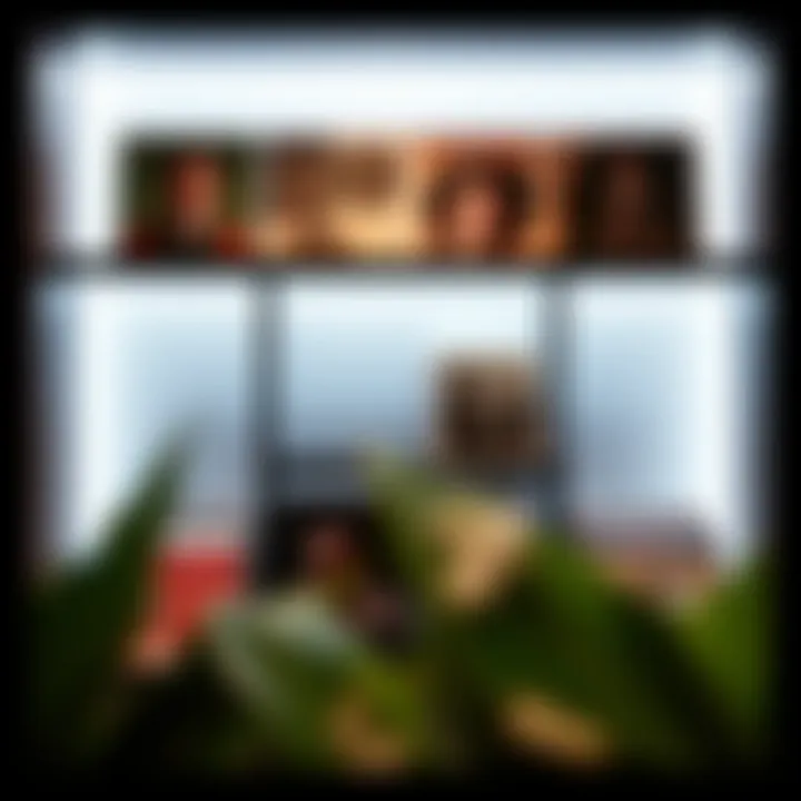 Elegant Vinyl Album Display Elegant vinyl album display shelf showcasing unique design