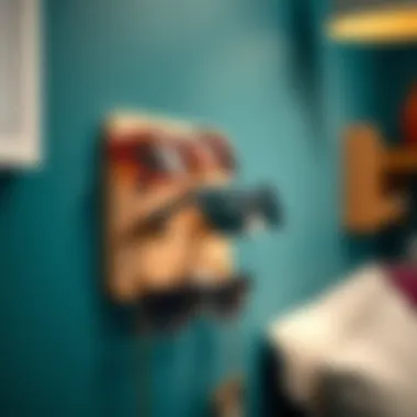 Aesthetic Wall-Mounted Sunglass Holder Wall-mounted sunglass holder with aesthetic appeal.