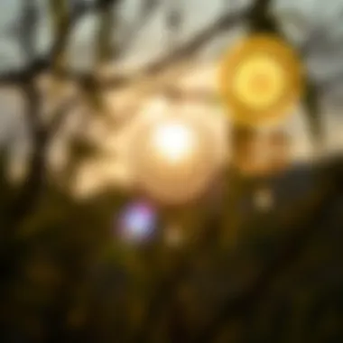 Sun Catchers Enhancing Light in a Calm Environment Sun catchers reflecting light in a serene setting