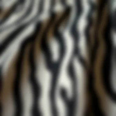 Close-up of zebra pattern fabric showcasing texture